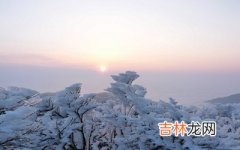 真人算命大师在线算命,2020年农历腊月二十一是什么节日？有什么习俗？