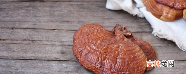 新鲜灵芝的食用方法有哪些