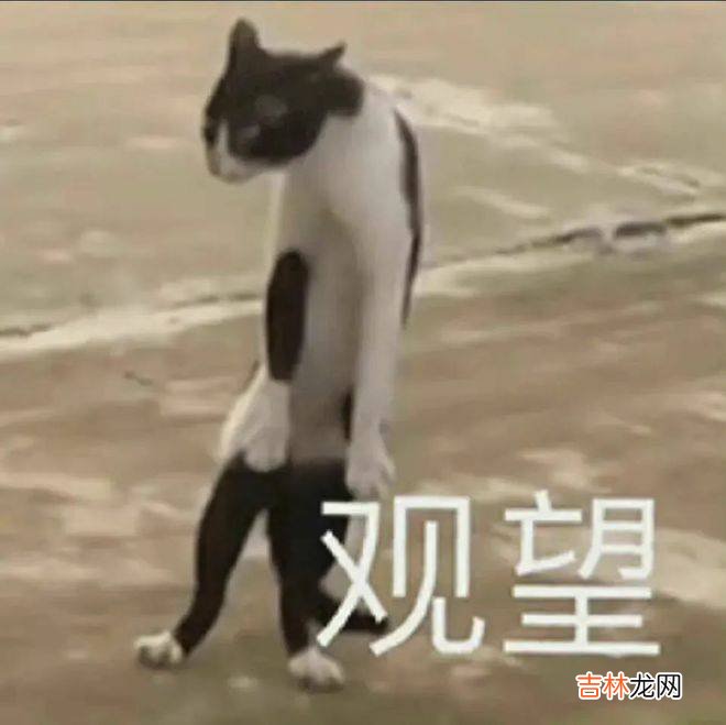 真子公主放弃1.4亿嫁妆，和驸马小室圭闪电搬到美国开始新生活？