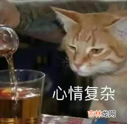 真子公主放弃1.4亿嫁妆，和驸马小室圭闪电搬到美国开始新生活？
