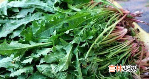女性都想气色好，平时吃的食物，美容抗衰老，增强抵抗力，更年轻