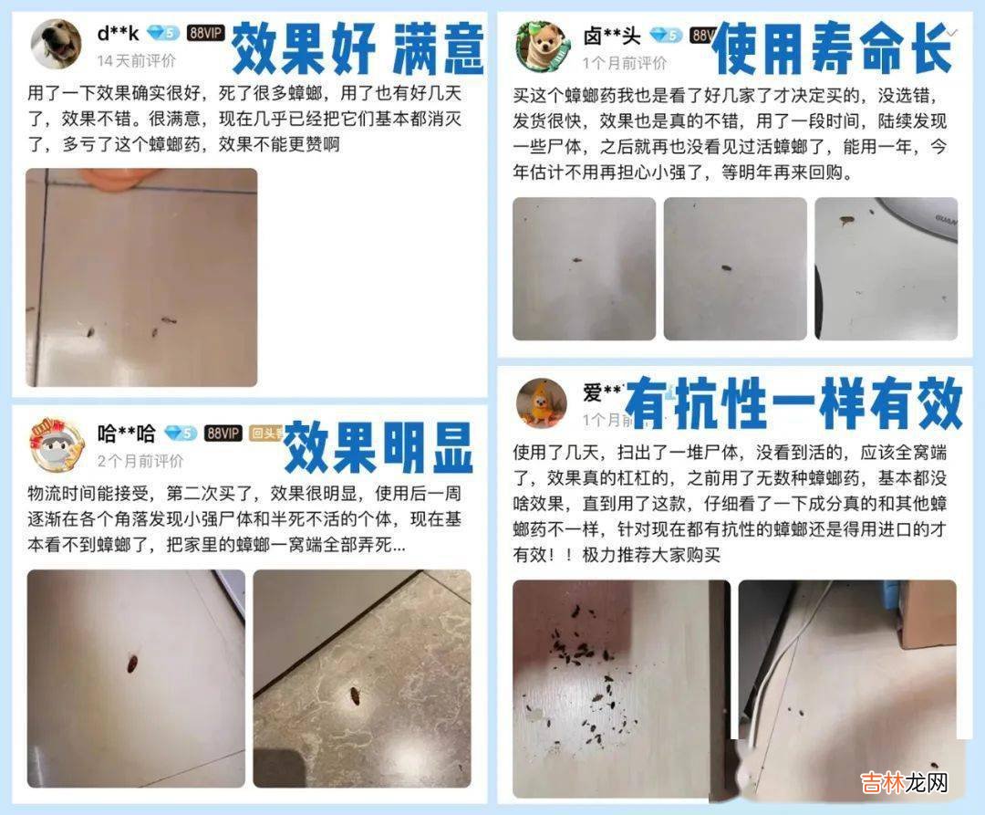 为什么家里的蟑螂总是除不干净？？？