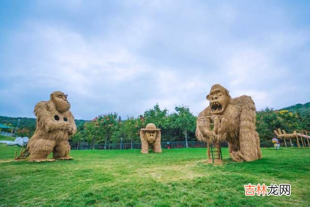 亲子露营地体验，我在露营地里找到一个大游乐场