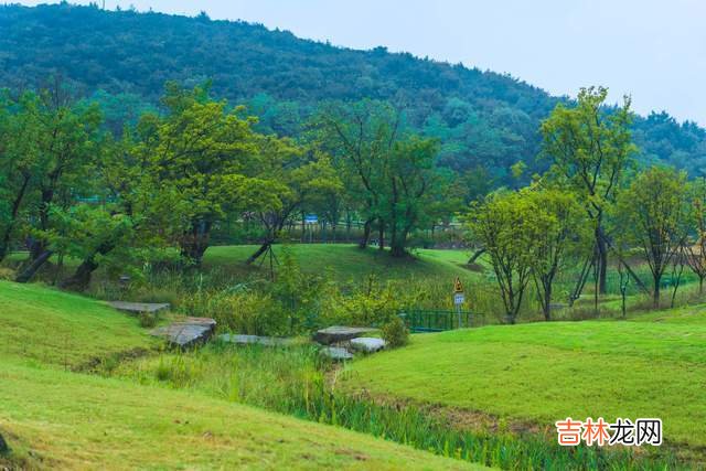 亲子露营地体验，我在露营地里找到一个大游乐场