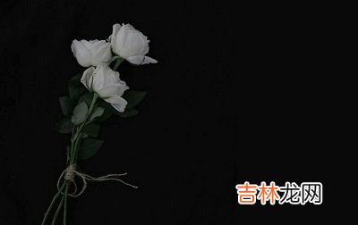 八字测算,2020庚子年农历正月二十八日适不适合出殡?