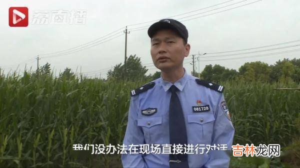 凌晨刮风又下雨，1岁半的“莱德”救回2岁男童……