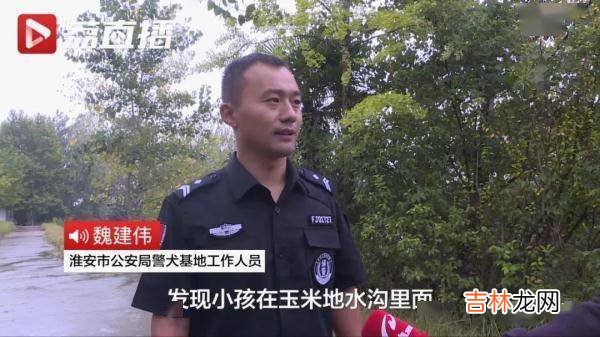 凌晨刮风又下雨，1岁半的“莱德”救回2岁男童……