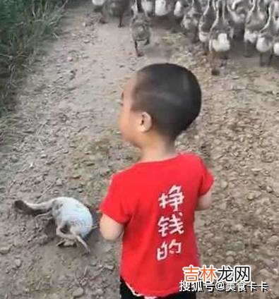 爸爸妈妈出国，把宝宝留乡下奶奶带，看奶奶发来的照片，太搞笑了