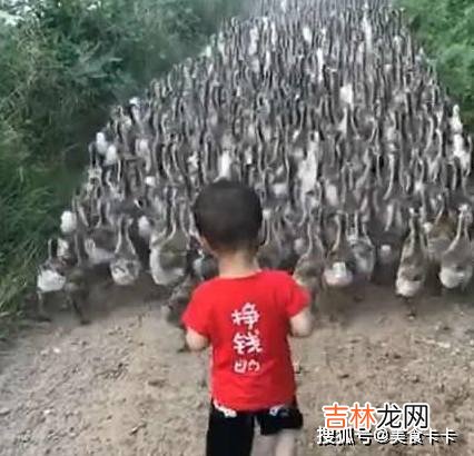 爸爸妈妈出国，把宝宝留乡下奶奶带，看奶奶发来的照片，太搞笑了