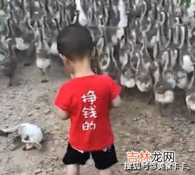 爸爸妈妈出国，把宝宝留乡下奶奶带，看奶奶发来的照片，太搞笑了