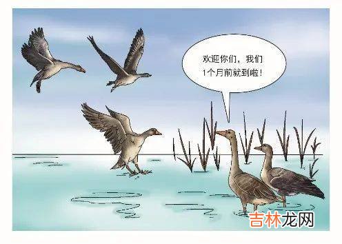 看完这篇，关于寒露的知识又增加了