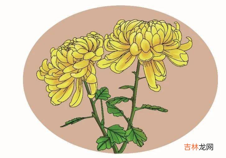 看完这篇，关于寒露的知识又增加了
