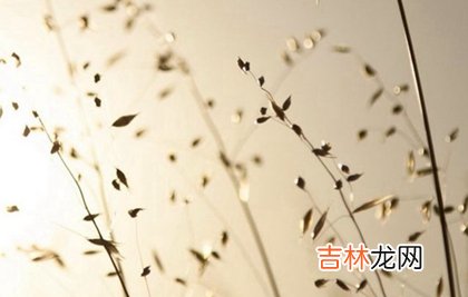 在线精准算命,2020年农历正月适合修坟迁坟的黄道吉日一览表！