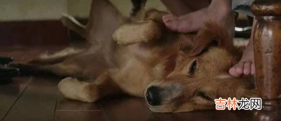 和她同居的第20天，我知道这辈子就她了