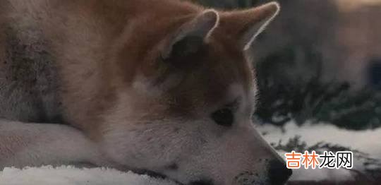 和她同居的第20天，我知道这辈子就她了