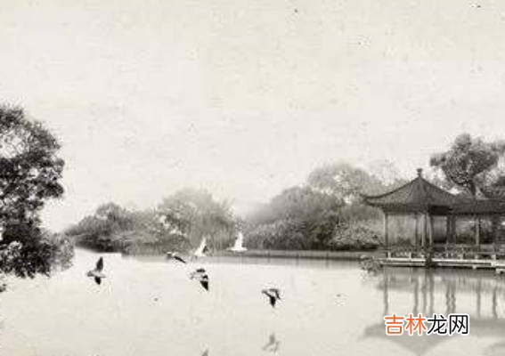 2020年6月出生的宝宝,财运方面的运势