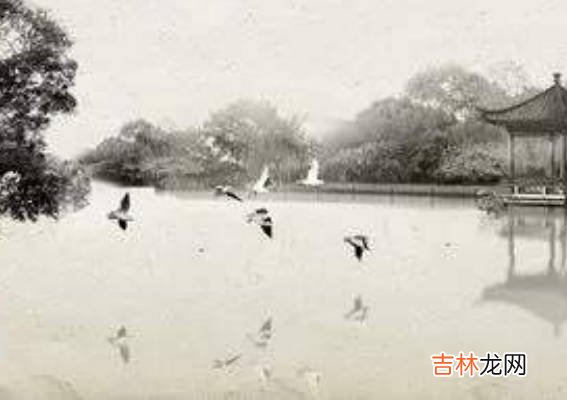 2020年6月出生的鼠宝宝,运势分析