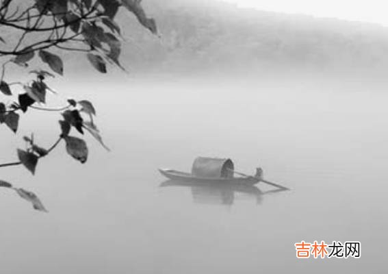 2020年6月出生的鼠宝宝,运势分析