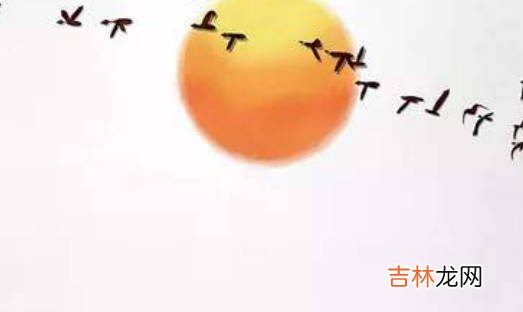生辰八字查五行缺失,五行缺少補救方法