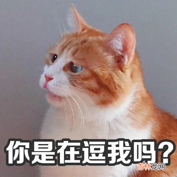 担心透漏过自己的八字会不会被人拿去下降头