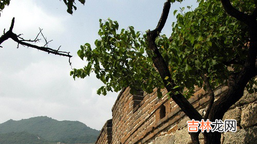 都说秉性难移,人各有命,是真的吗?