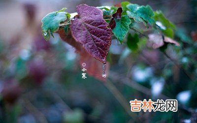 生辰八字算命,2020小寒养生要注意什么？小寒下雨有什么说法？