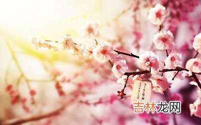 在线精准算命,2020年1月2日腊八节结婚好吗?什么生肖不适合这天结婚?