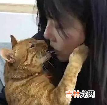 这只橘猫已经“成精”了？主人在洗水果，橘猫抱着女友玩“亲亲”