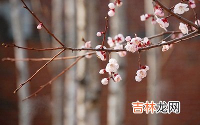 算卦,2020年腊月二十二日出生的男孩命运怎么样?