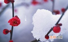 免费算命婚姻,2020年腊月十二小寒属虎人忌搬家入宅吗，与日子相冲吗？