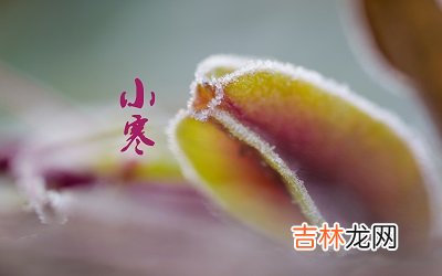 生肖算命,小寒开始数九了吗？2020年小寒节气日子卦象如何？