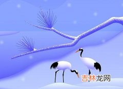 专业八字测试,属龙人与2020年大寒腊月二十六相冲吗，大事勿用吗？