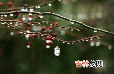 运势预测,2020鼠年正月二十六雨水节气适不适合祈福？