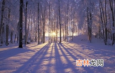算命婚姻,2020年1月15日腊月二十一出生生肖属什么?