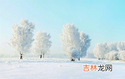算命婚姻,2020年1月15日腊月二十一出生生肖属什么?