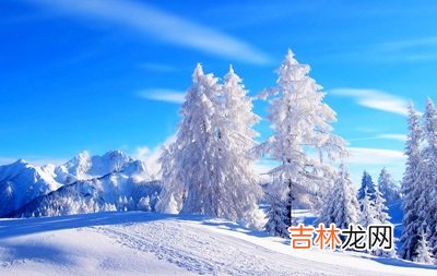 算命婚姻,2020年1月15日腊月二十一出生生肖属什么?
