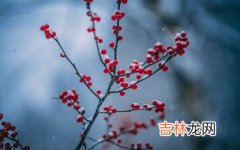 抽签算命,2020年1月16日腊月廿二日日子好不好？时辰吉凶解析