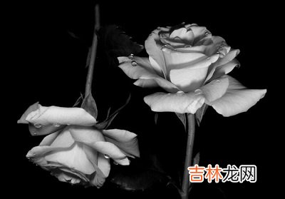 择吉日,2020庚子年正月十八日出殡适不适合？孝衣有什么?讲究？