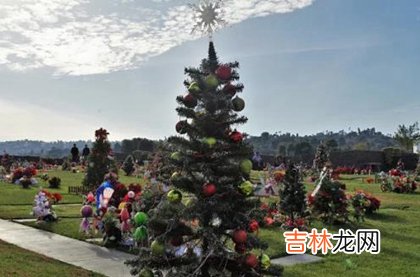 免费算命婚姻,2020年圣诞节这天可以出殡吗,为什么圣诞节要吃火鸡?