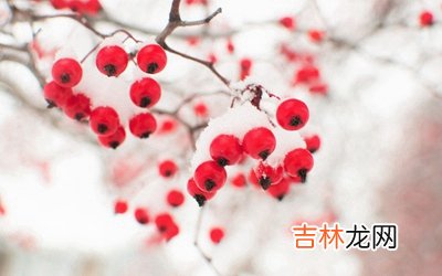 姓名测试,2020年1月16日腊月廿二是适合结婚领证的好日子吗?