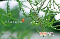 免费八字算命,2020年正月二十六是雨水节气吗？这天适合祭祖吗？