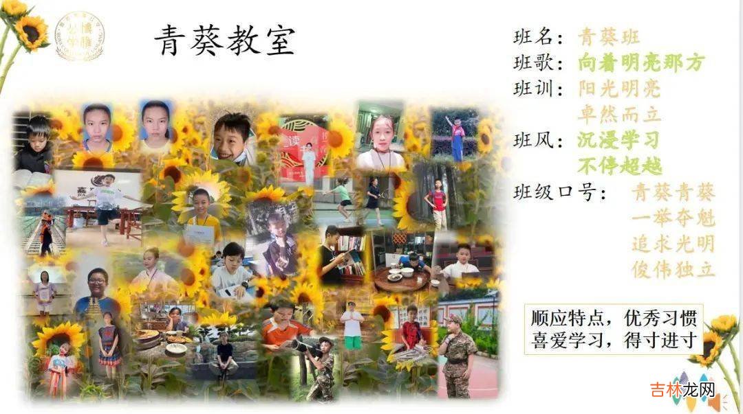 彭文学：青青园中葵，勃勃向阳生——向着明亮那方
