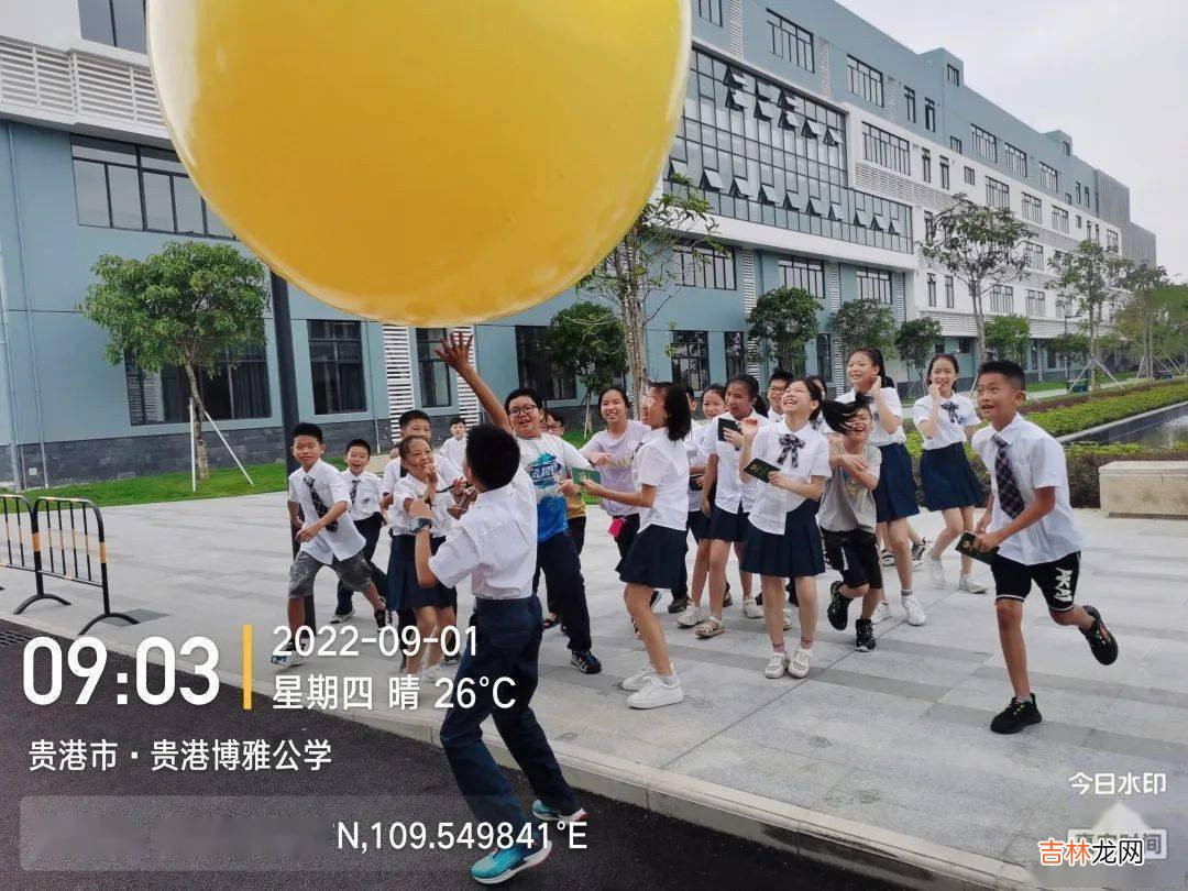 彭文学：青青园中葵，勃勃向阳生——向着明亮那方