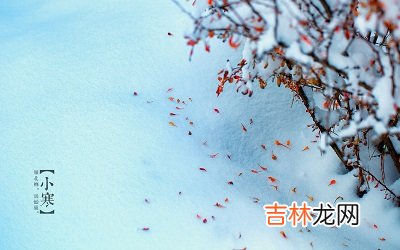 姓名测试打分,2020年1月6日小寒节气可以理发吗？小寒节气物候特征