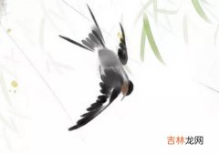 2020年农历十二月出生的鼠宝宝是什么命,宝宝旺父母