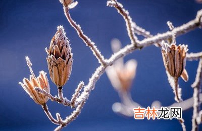 周易算命,2020年腊月二十一是几月几号？这天有哪些时间是吉时？