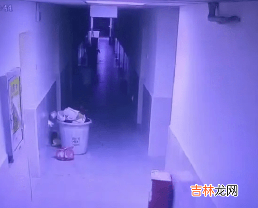 或是有心人捏造，网传安徽财贸女生养鬼，学生迷信老师才是主导者