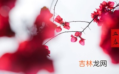 在线精准算命,2020年正月十一是立春吗？这天出殡可以吗？