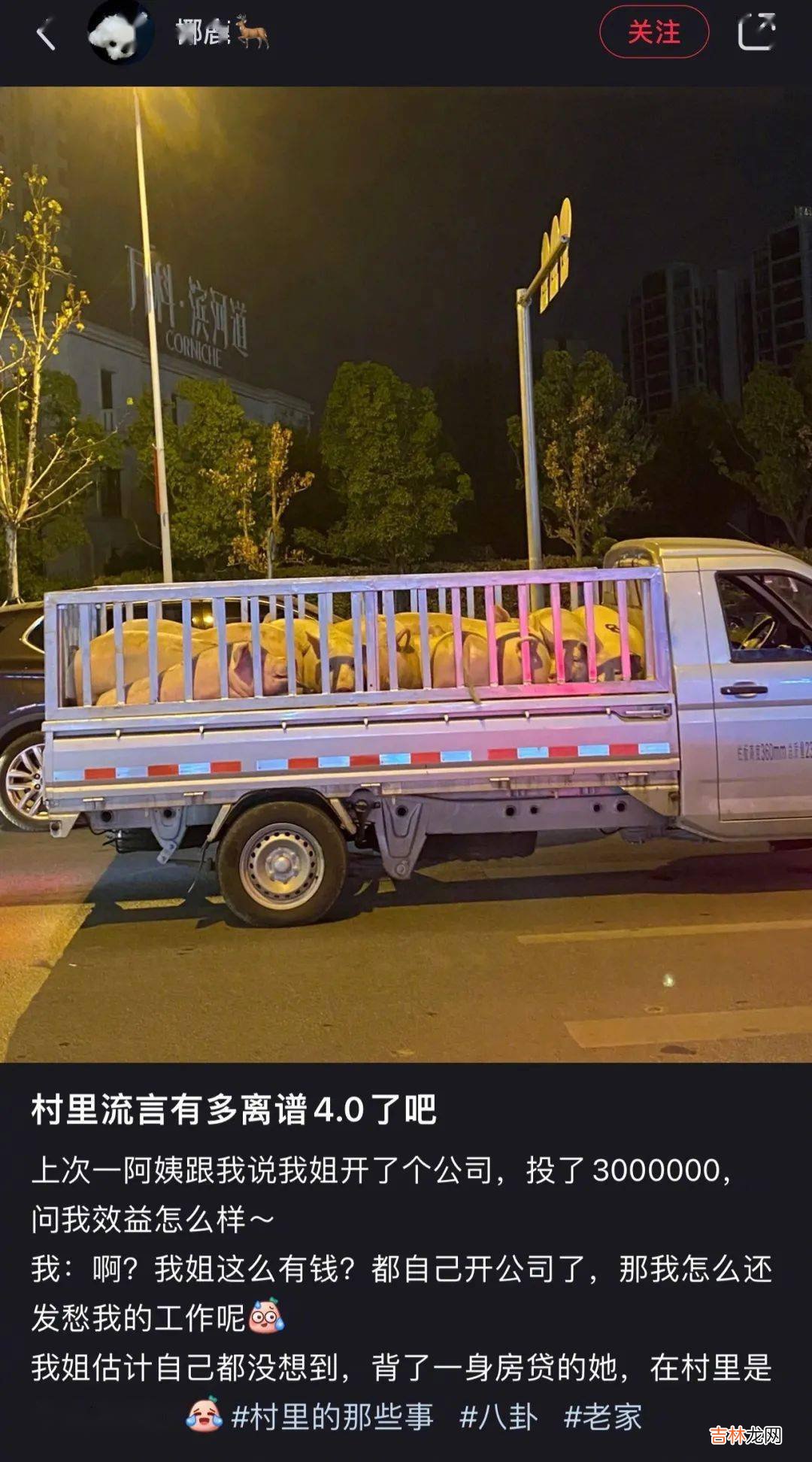 从别人口中知道自己怀孕了？被离谱八卦笑yue了！