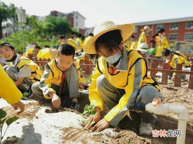 “做菜半小时，剪辑一整天”，劳动课又要“卷”家长？